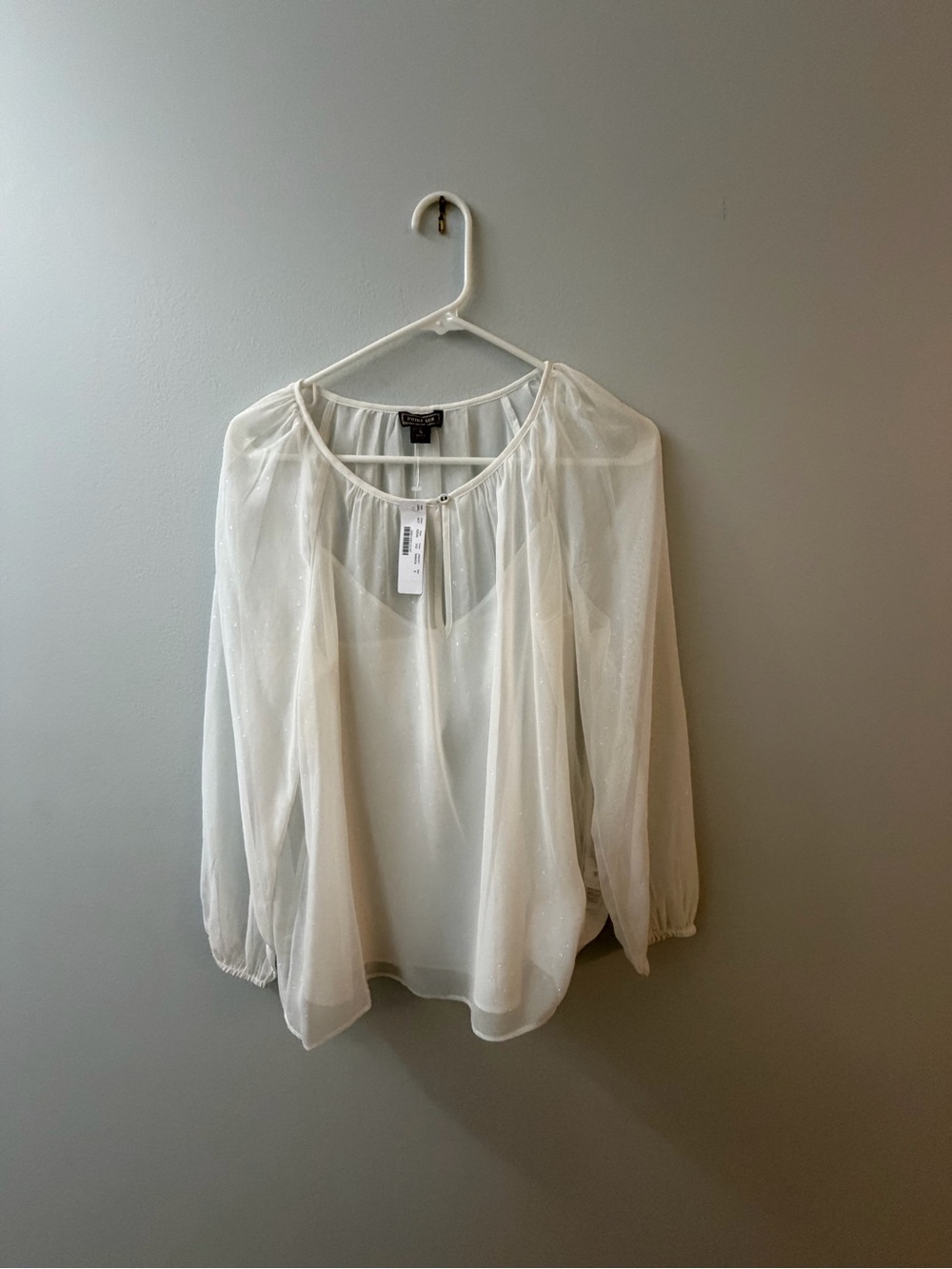 Sheer Cream Long-Sleeve Blouse with Subtle Shine